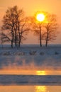 Sunset in WinterÃ¢â¬â¢s tale. Jilin Rime Islands of Northeast Royalty Free Stock Photo